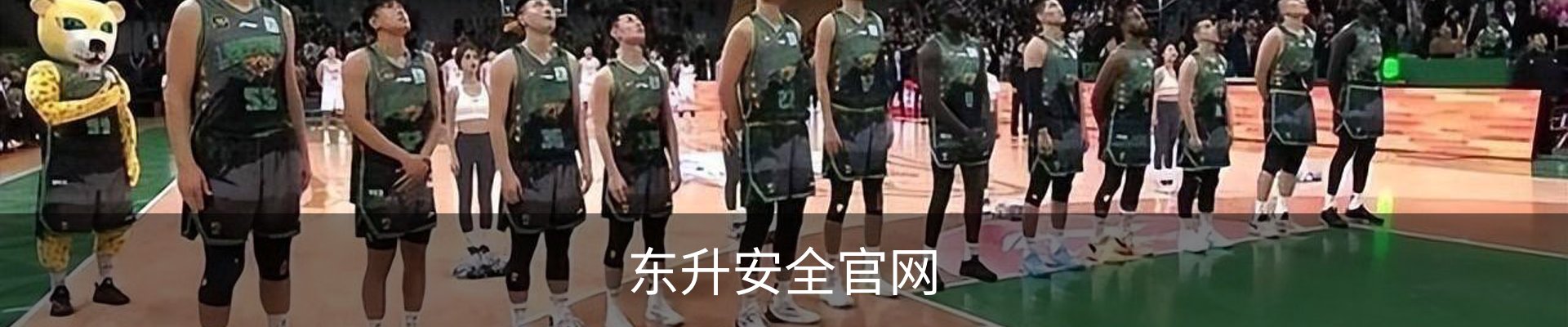 东升安全官网 - 娱乐科技服务安全登录